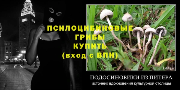 сатива Лагань