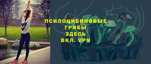 соль курить ск Нижний Тагил