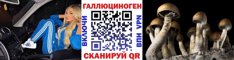 Псилоцибиновые грибы GOLDEN TEACHER  Нерчинск 